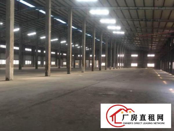  ~塘厦大公司物流仓库，600至5000平米，滴水10米钢构~