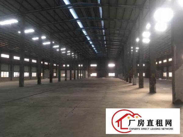  ~塘厦大公司物流仓库，600至5000平米，滴水10米钢构~