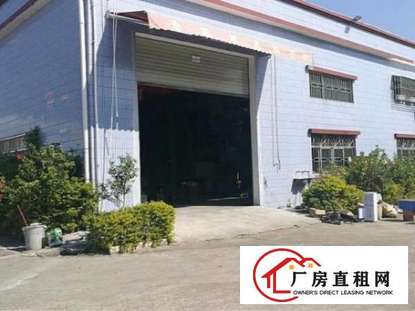  田心村挨龙背岭，带红本10000平方独院钢构厂房，可分租