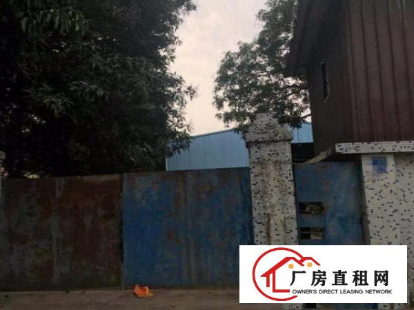  （胶带 废品业）塘厦龙背岭500平方米单一层独院厂房招租