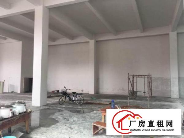  实拍！石鼓3800平方全新独栋标准厂房，950平/层，挨石马