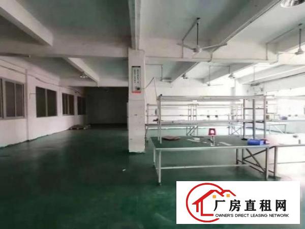  塘厦大坪楼上600平米出租，可做电池，已搬空