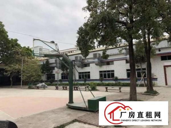  塘厦原房东花园式砖墙钢构独院实际面积出租