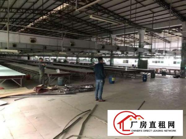  塘厦原房东花园式砖墙钢构独院实际面积出租