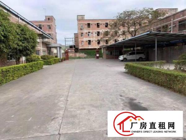  ~~笋盘！大坪村1600平米单一层钢构厂房，免装修~~