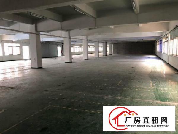  138工业区，3900平方独院标准厂房，价格面议