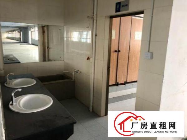  138工业区，3900平方独院标准厂房，价格面议
