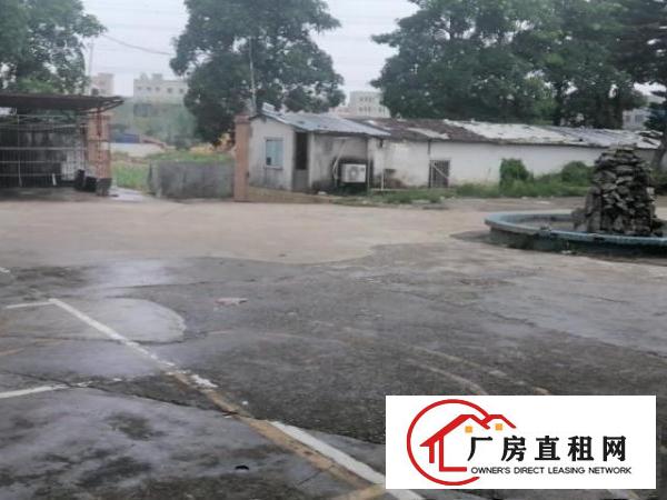  独院钢构厂房，车辆进出方便