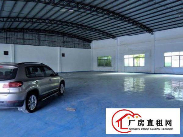  塘厦大坪新出独门独院钢构1200平方带装修厂房出租有办公室