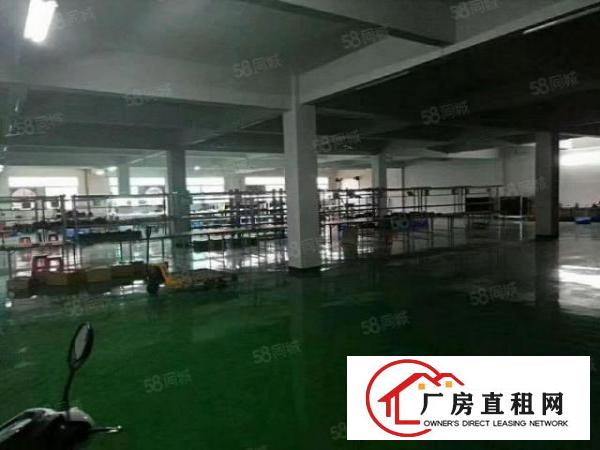  可单租一层塘厦一手业主独立厂房3000平方出租现成装修