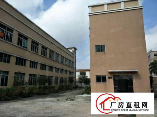  可单租一层塘厦一手业主独立厂房3000平方出租现成装修