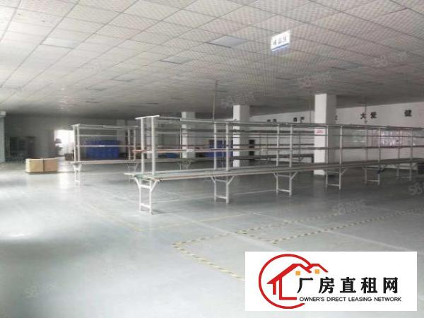  塘厦迎宾高速出口新出标准厂房二楼1500平方，精装修水电齐全