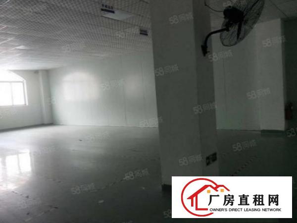  塘厦迎宾高速出口新出标准厂房二楼1500平方，精装修水电齐全