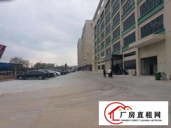  塘厦迎宾高速出口新出标准厂房二楼1500平方，精装修水电齐全