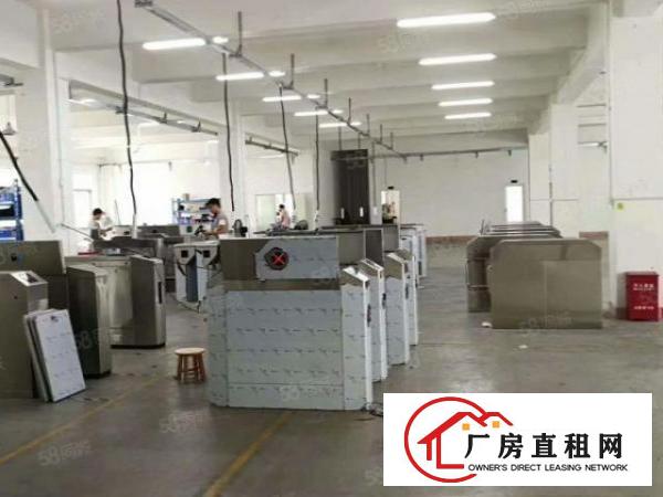  塘厦石鼓原房东直租标准1楼800平方！现成办公室！水电齐全