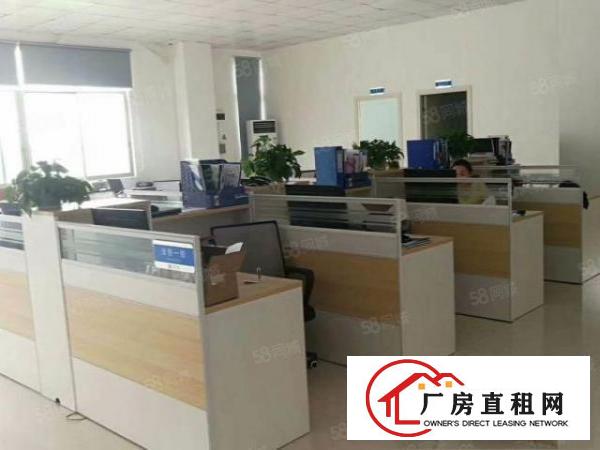  塘厦石鼓原房东直租标准1楼800平方！现成办公室！水电齐全