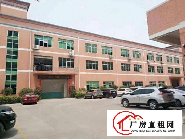  塘厦石鼓原房东直租标准1楼800平方！现成办公室！水电齐全