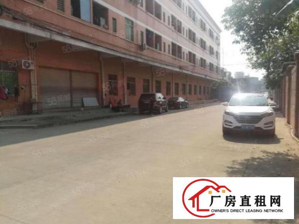  塘厦石鼓原房东直租标准1楼800平方！现成办公室！水电齐全