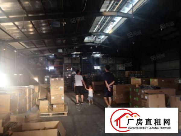  塘厦大坪高速口新出1楼750平方，钢构厂房层高7米实量面积
