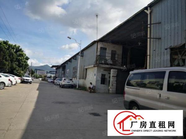  塘厦大坪高速口新出1楼750平方，钢构厂房层高7米实量面积
