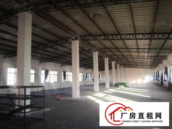  塘厦大坪高速口新出1楼750平方，钢构厂房层高7米实量面积
