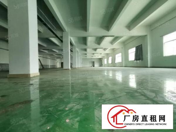  塘厦科苑城新出独院8300平，形象好！一楼带牛角可做五金模具