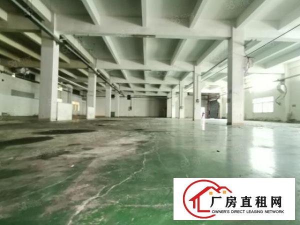  塘厦科苑城新出独院8300平，形象好！一楼带牛角可做五金模具