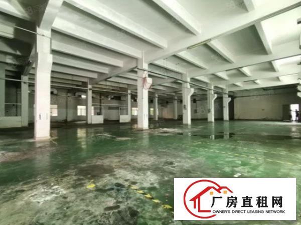  塘厦科苑城新出独院8300平，形象好！一楼带牛角可做五金模具