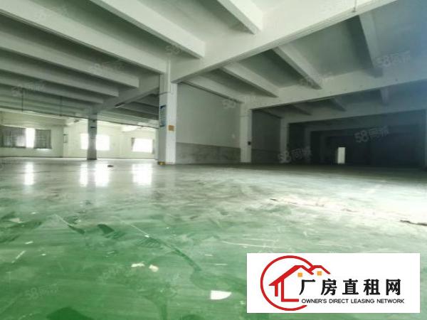  塘厦科苑城新出独院8300平，形象好！一楼带牛角可做五金模具