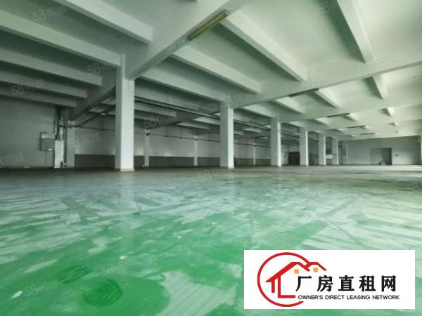  塘厦科苑城新出独院8300平，形象好！一楼带牛角可做五金模具