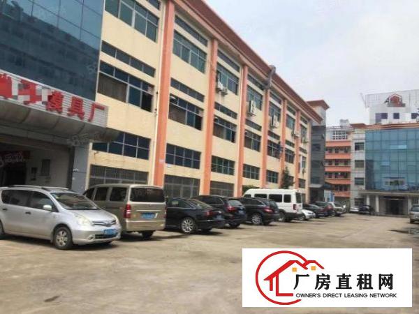 大坪高速口一手房东700平方带豪华装修只租22块无公摊