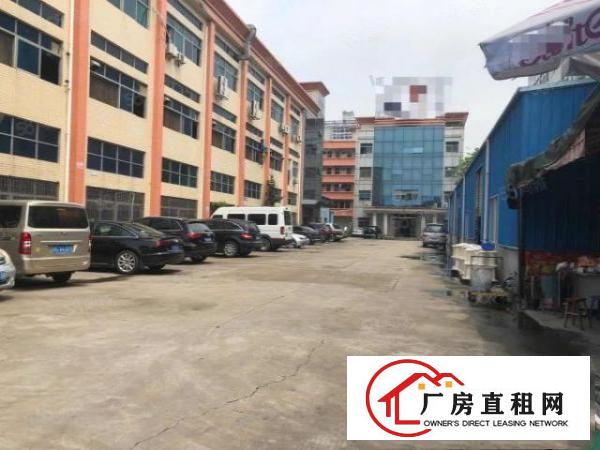 大坪高速口一手房东700平方带豪华装修只租22块无公摊