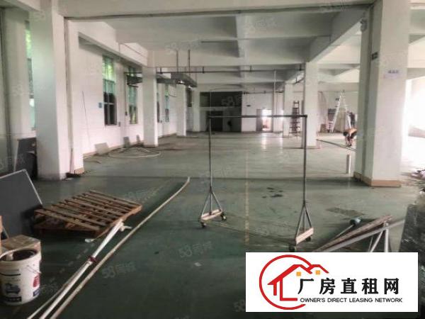  大坪高速口一手房东700平方带豪华装修只租22块无公摊