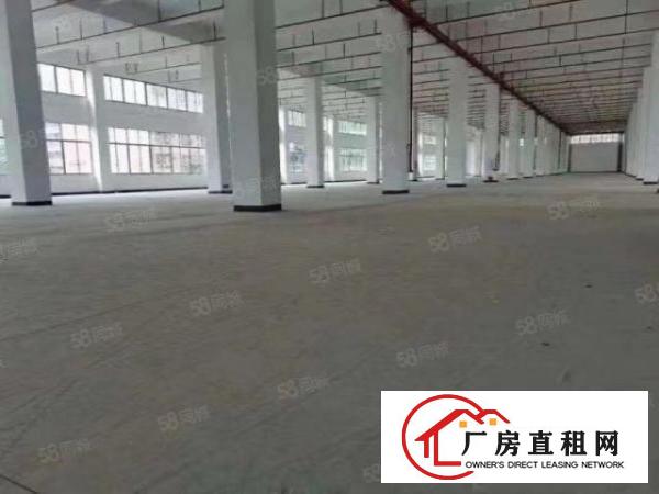  塘厦高速路口新出电商物流园，空地2万平方，带卸货平台可分租