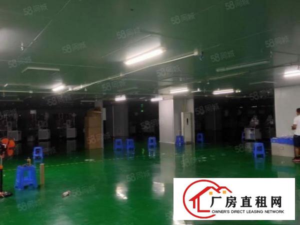  塘厦石鼓惊现2楼3600平方现成无尘车间无需转让费原房东直租