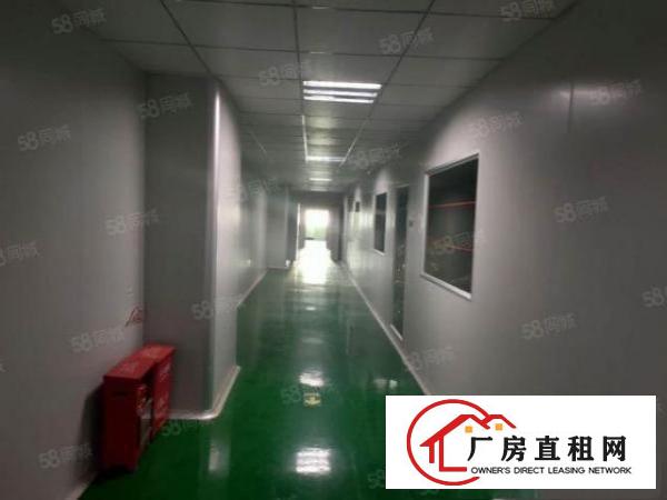  塘厦石鼓惊现2楼3600平方现成无尘车间无需转让费原房东直租