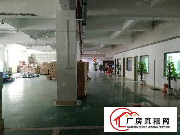  塘厦莲湖工业园里二楼1000平厂房出租，有地坪漆装修，办公室