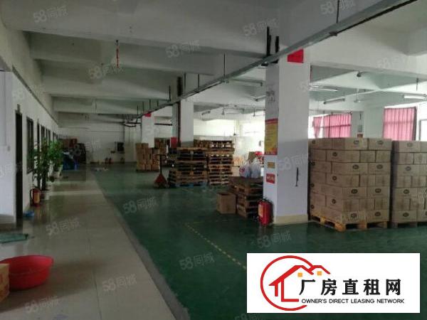  塘厦莲湖工业园里二楼1000平厂房出租，有地坪漆装修，办公室