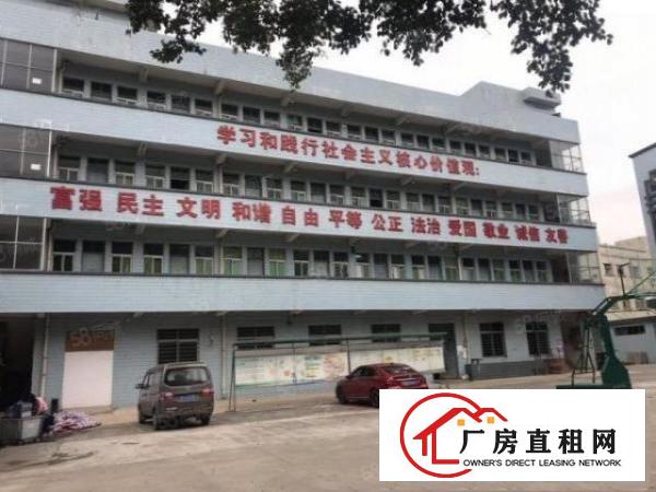  塘厦振兴围原房东经典小独院6500平，可办环评