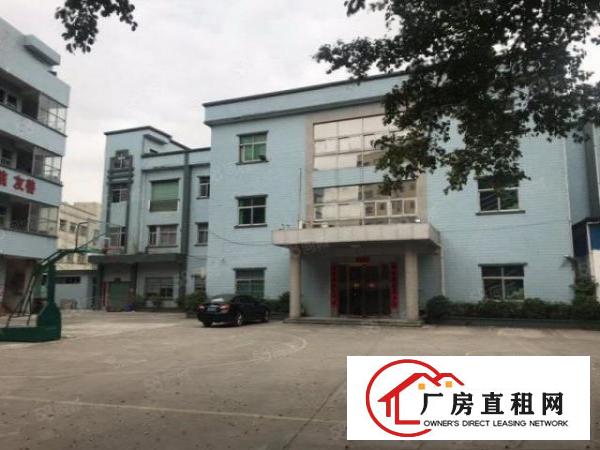  塘厦振兴围原房东经典小独院6500平，可办环评
