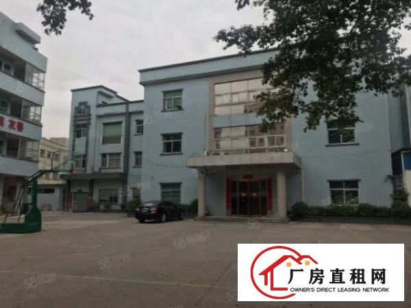  塘厦振兴围原房东经典小独院6500平，可办环评
