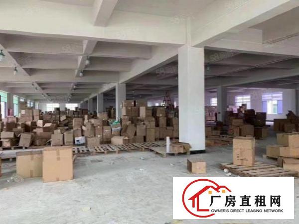  塘厦振兴围原房东经典小独院6500平，可办环评