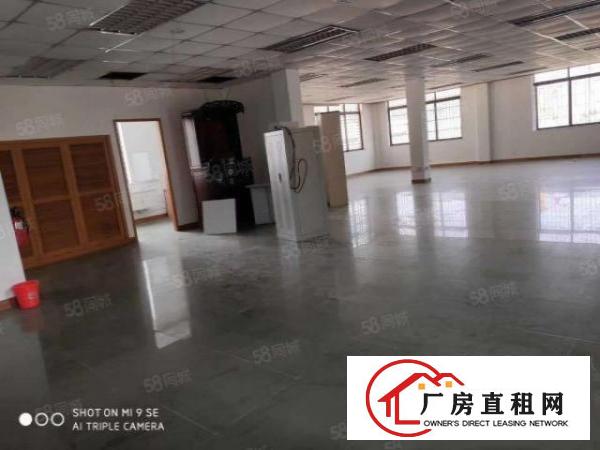  塘厦新出独栋13层1180平标准厂房出租