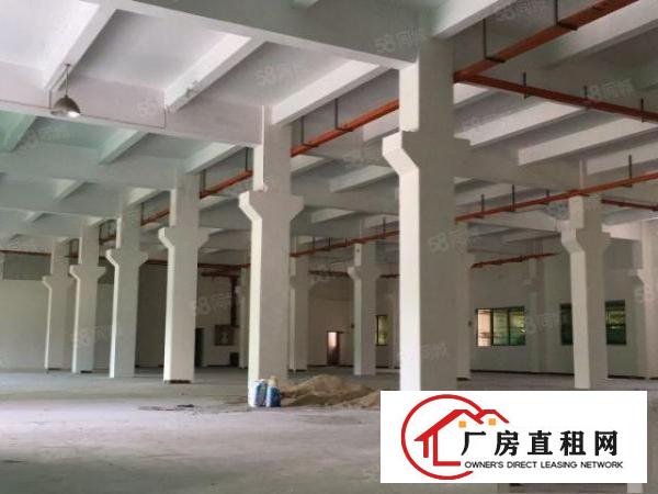  塘厦石鼓标准一楼800平，带牛角，消防喷淋，空地大形象好