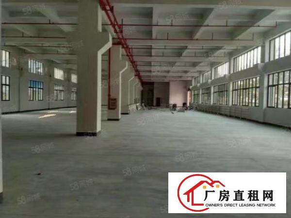  塘厦石鼓标准一楼800平，带牛角，消防喷淋，空地大形象好