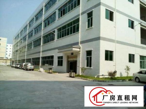  塘厦石鼓标准一楼800平，带牛角，消防喷淋，空地大形象好