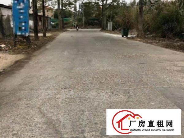  塘厦龙背岭大路边原房东钢构小独院600平价格15块