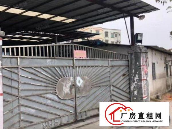  塘厦龙背岭大路边原房东钢构小独院600平价格15块