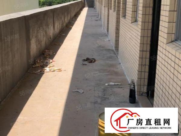  石排邻镇2万5千平单层钢构厂房仅18元出租，可分租，空地超大