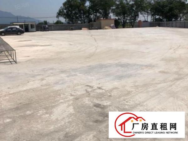  石排邻镇2万5千平单层钢构厂房仅18元出租，可分租，空地超大